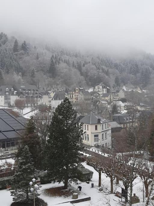 Le Sarciron 82 Daire Le Mont-Dore Dış mekan fotoğraf